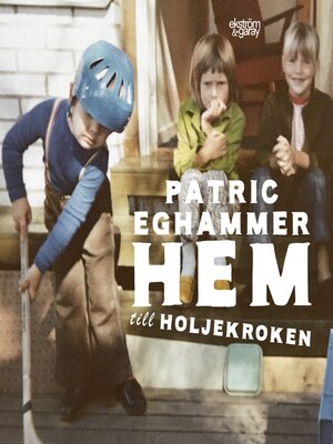 cover image of Hem till Holjekroken